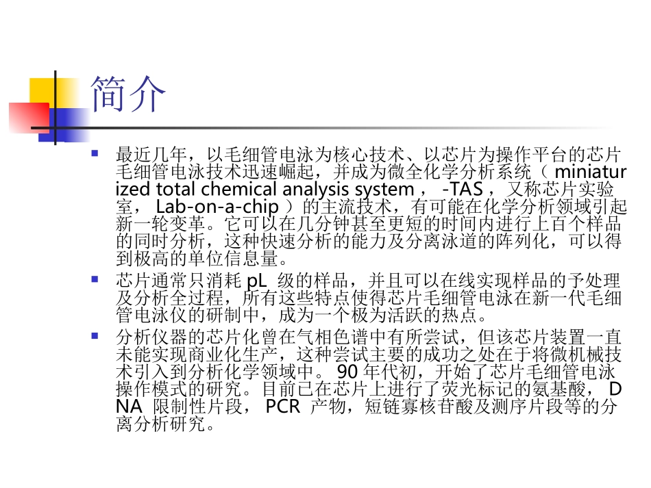 毛细管电泳芯片_第2页
