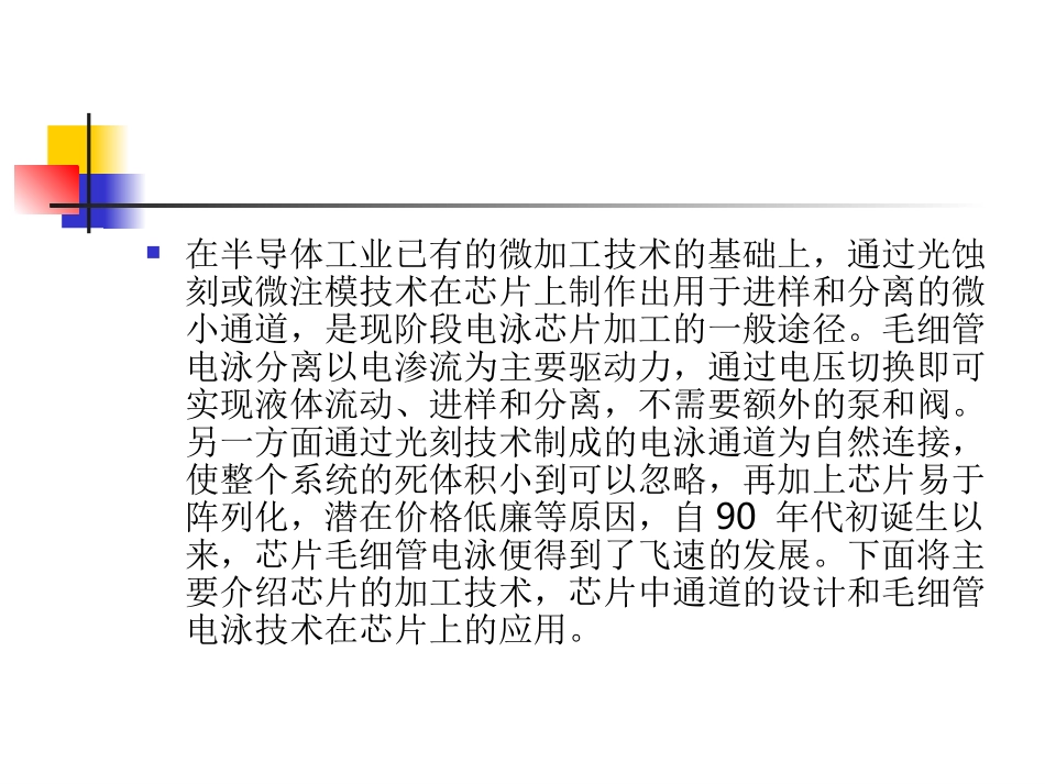 毛细管电泳芯片_第3页