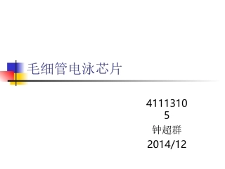 毛细管电泳芯片