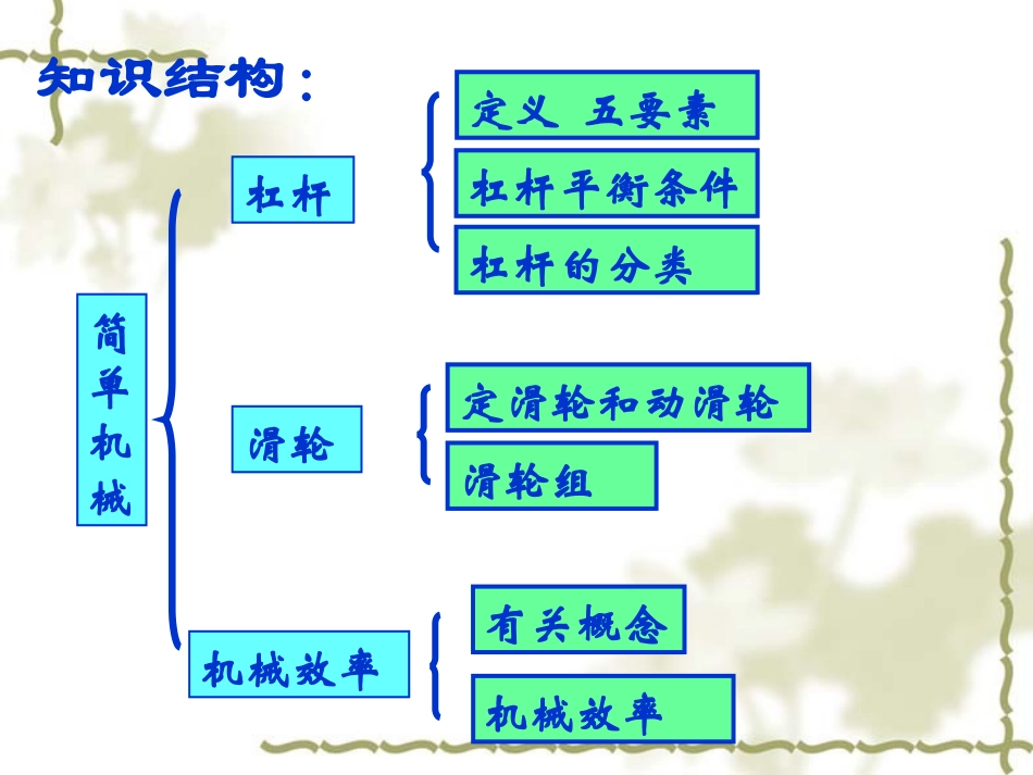 中考物理复习专题-简单机械_第2页
