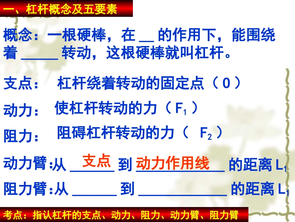 中考物理复习专题-简单机械_第3页