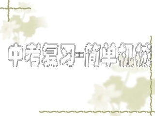 中考物理复习专题-简单机械