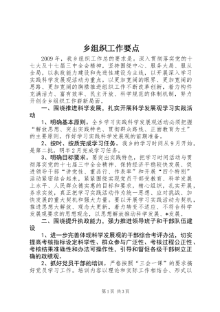 乡组织工作要点