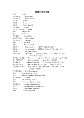 2014年热词英译