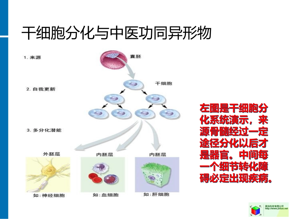偶尔高烧或低烧与未分化结缔组织病_第2页