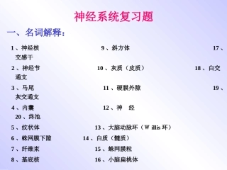 神经系统复习题