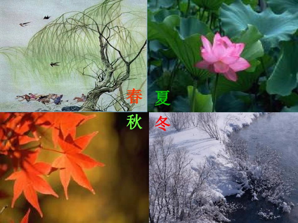 大自然的语言（用）_第2页