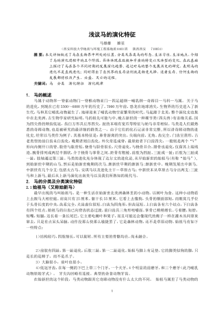 马的演化特征