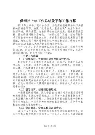 供销社上年工作总结及下年工作打算