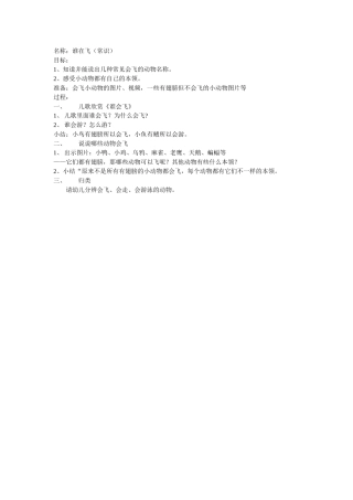 常识活动——谁在飞