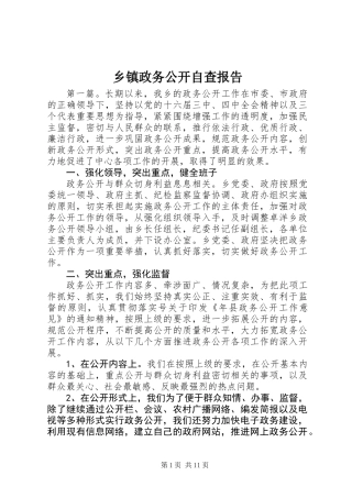 乡镇政务公开自查报告