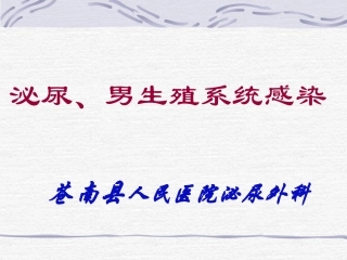 泌尿系统感染
