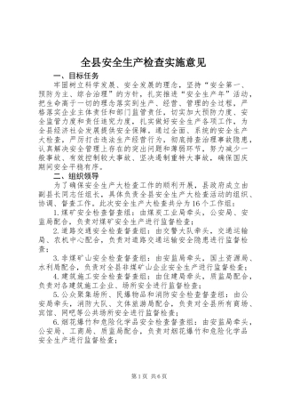 全县安全生产检查实施意见