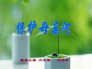 保护母亲河王宇轩