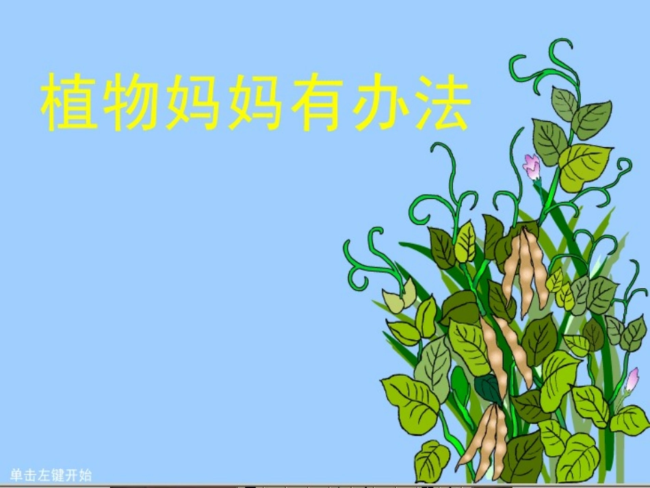 植物妈妈有办法(1)(1)_第1页