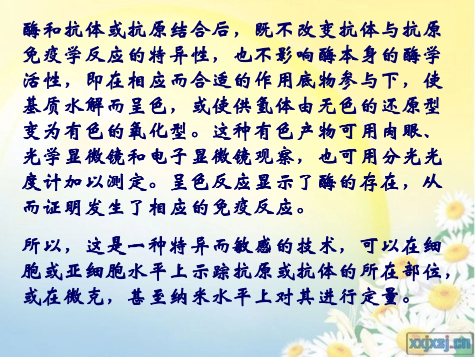 酶联免疫吸附试验_第3页