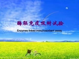 酶联免疫吸附试验