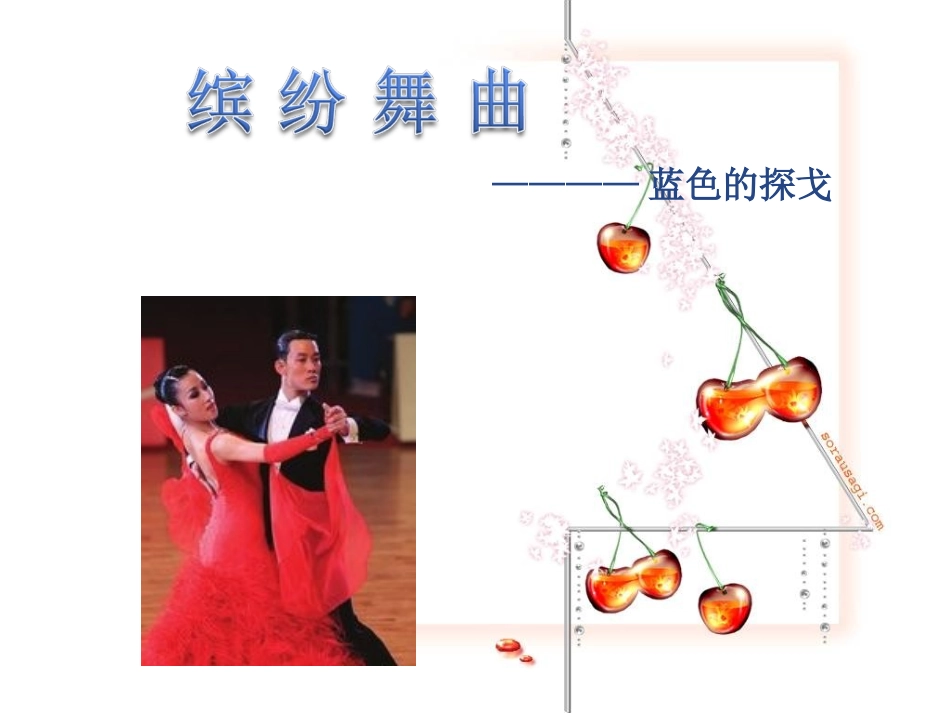 蓝色的探戈课件_第3页