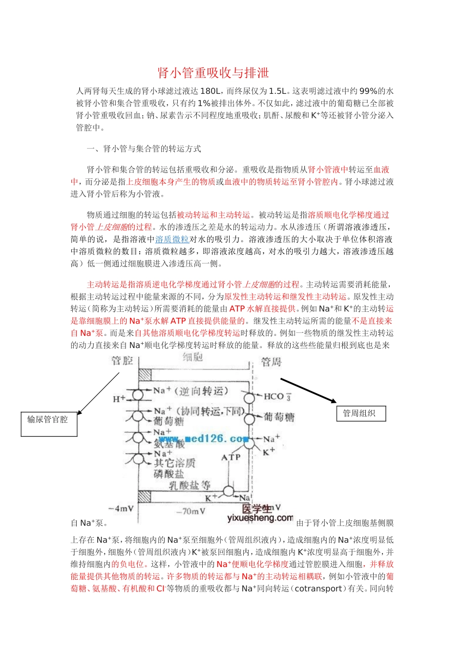肾小管和集合管的重吸收_第1页