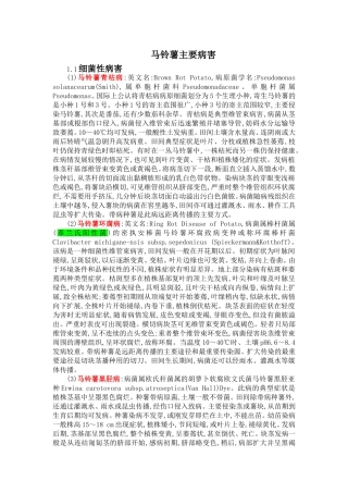 马铃薯主要病害