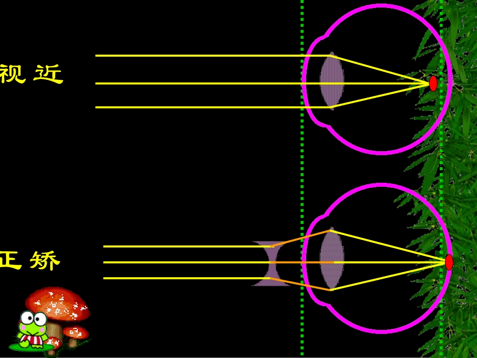 生物七年级下人教版4.6.1眼球的结构_第3页