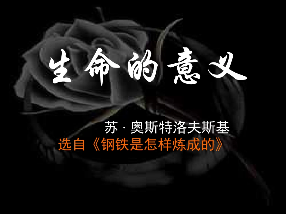 七年级《生命的意义》_第1页