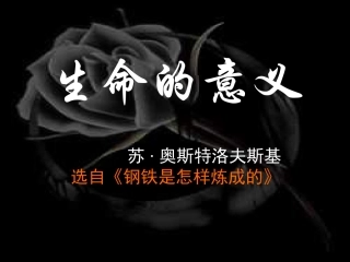 七年级《生命的意义》