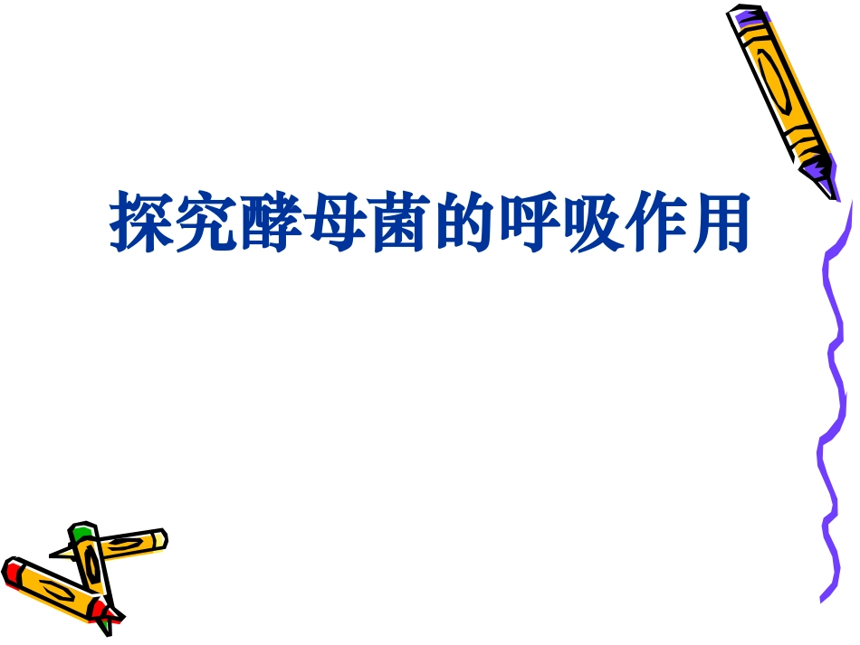 探究酵母菌的呼吸作用_第1页