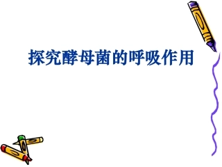 探究酵母菌的呼吸作用