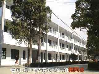 [初中美术课件]透视浙教版