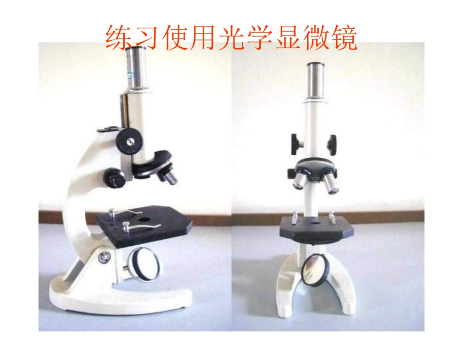 七年级生物练习使用显微镜1_第2页