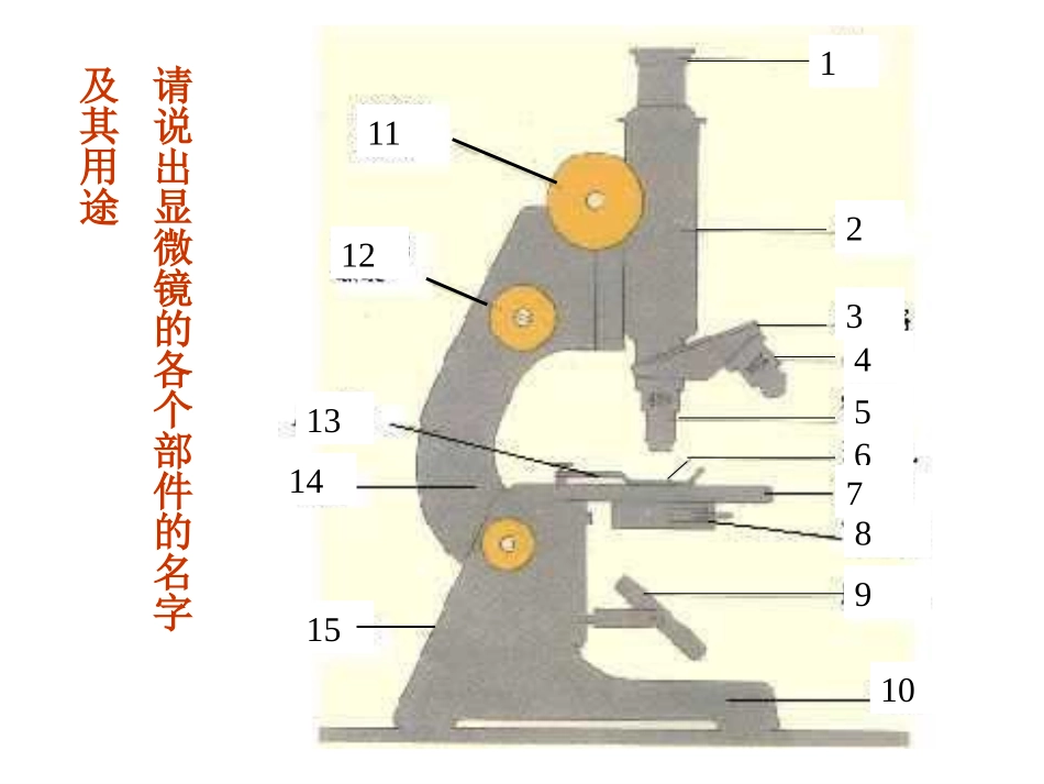 七年级生物练习使用显微镜1_第3页