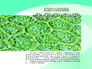 七年级生物练习使用显微镜1
