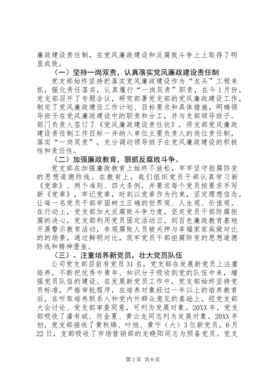 201X年公司内部巡察专题报告_第3页
