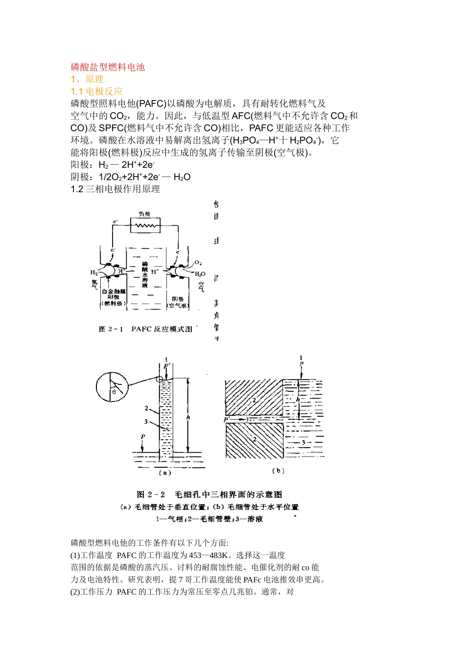 磷酸盐型燃料电池_第1页