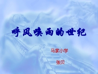 呼风唤雨的世纪张贝