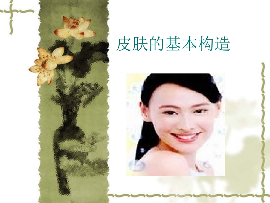 皮肤的基本构造_第1页