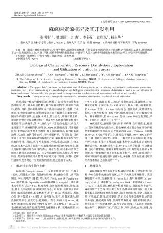 麻疯树资源概况及其开发利用