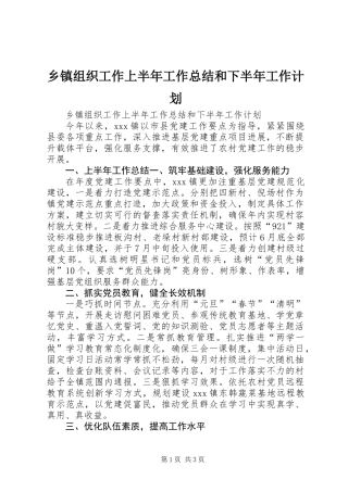 乡镇组织工作上半年工作总结和下半年工作计划