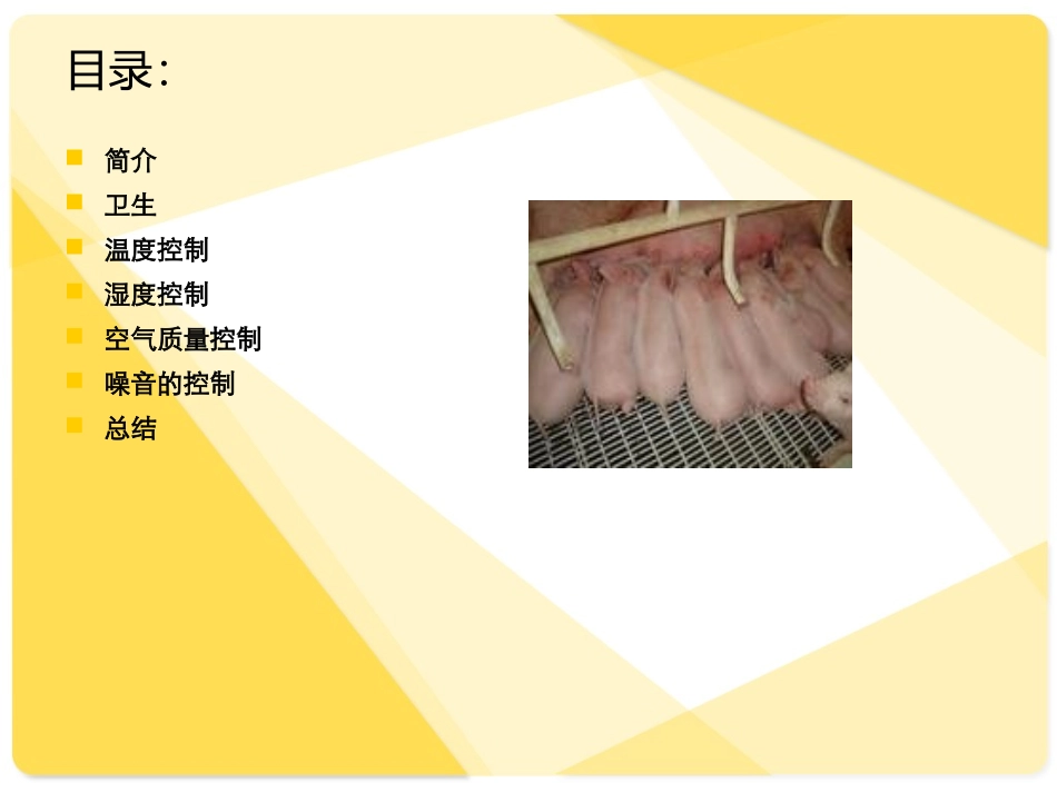母猪产房管理要点_第2页