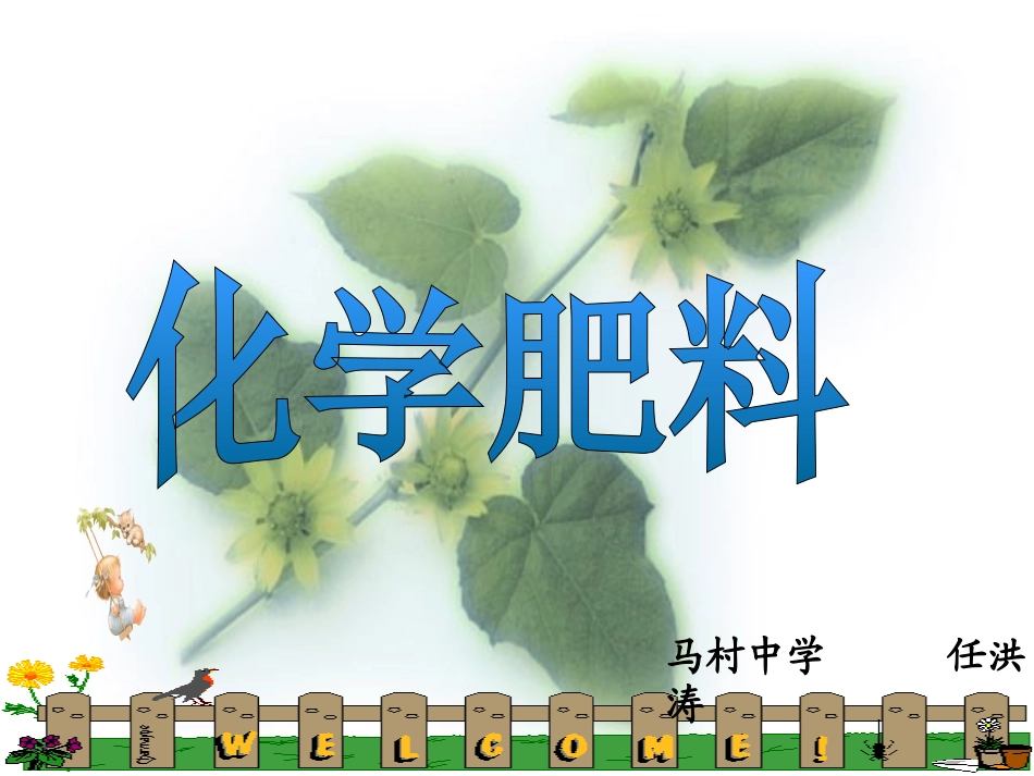 化学肥料洪涛415讲课_第1页