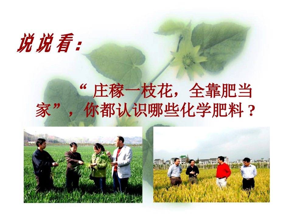化学肥料洪涛415讲课_第2页