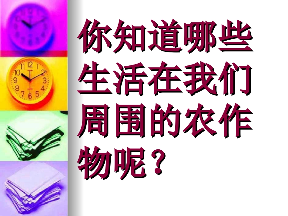 常见的农作物_第2页