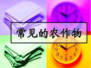 常见的农作物