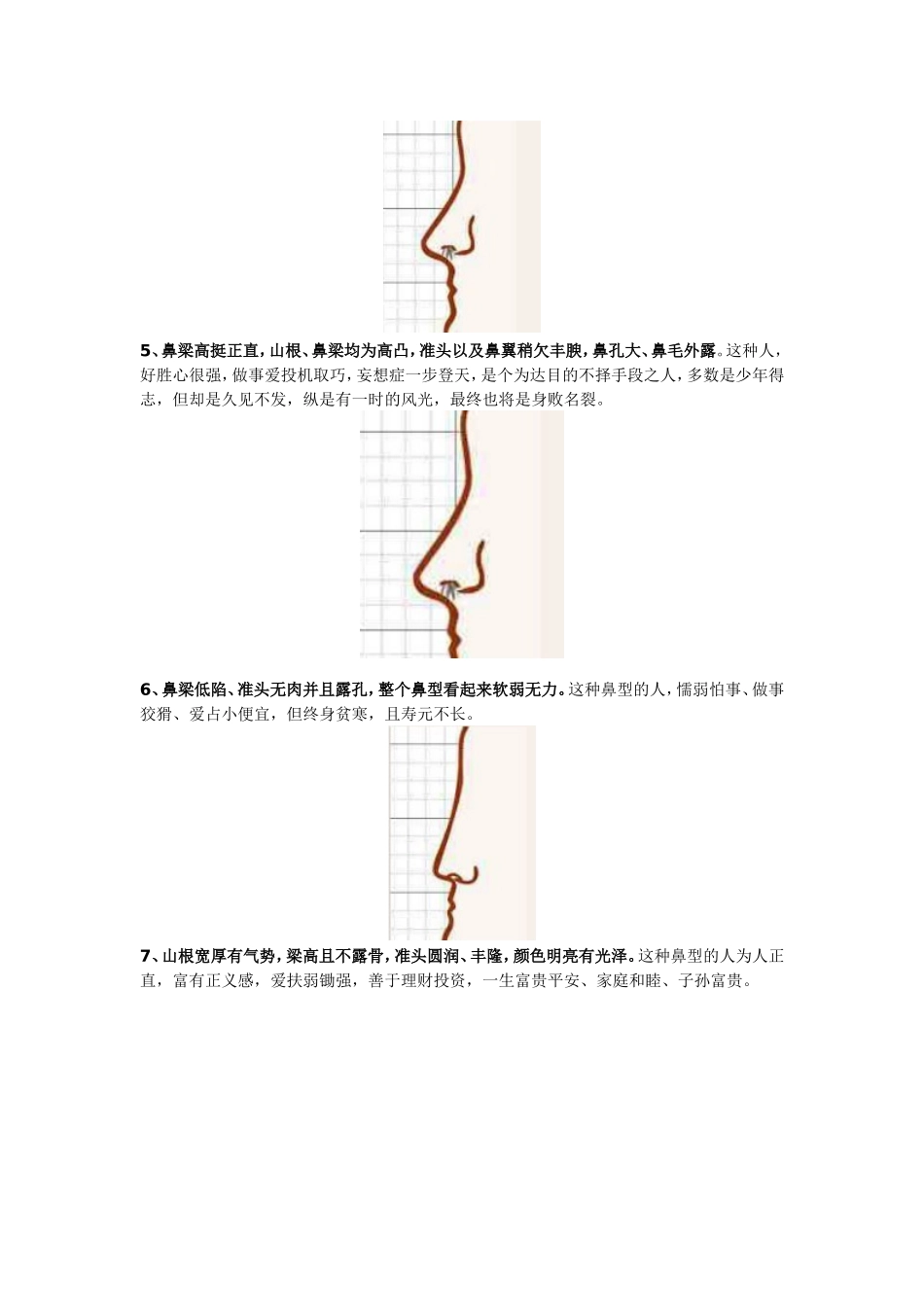 女人面相鼻子-鼻子面相图解_第2页