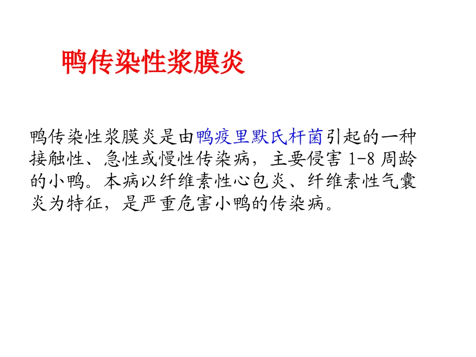 禽病学-传染性浆膜炎_第1页