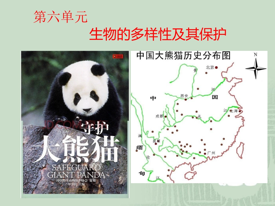 2013版生物八上611尝试对生物进行分类_第1页