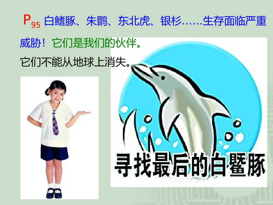 2013版生物八上611尝试对生物进行分类_第2页