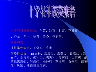 十字花科蔬菜包括：白菜、油菜、甘蓝、花椰菜、芥菜、萝卜、芜青、...
