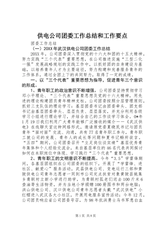 供电公司团委工作总结和工作要点